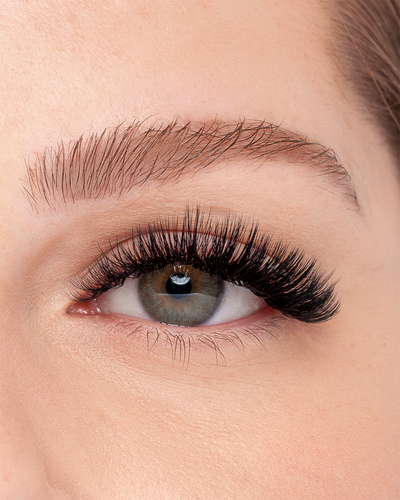 What Are D Curl Lashes?