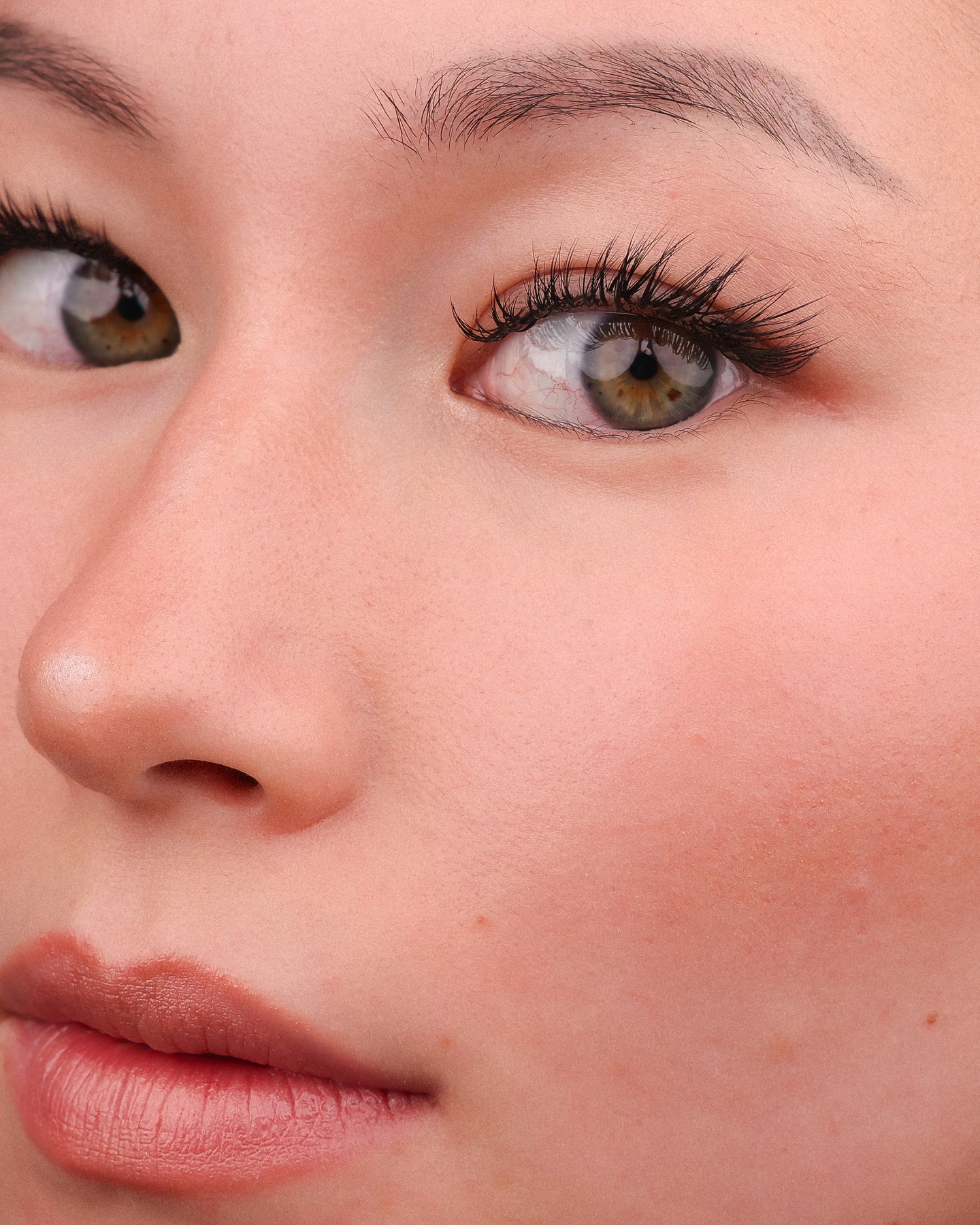 Winged Out Skyline Lashes