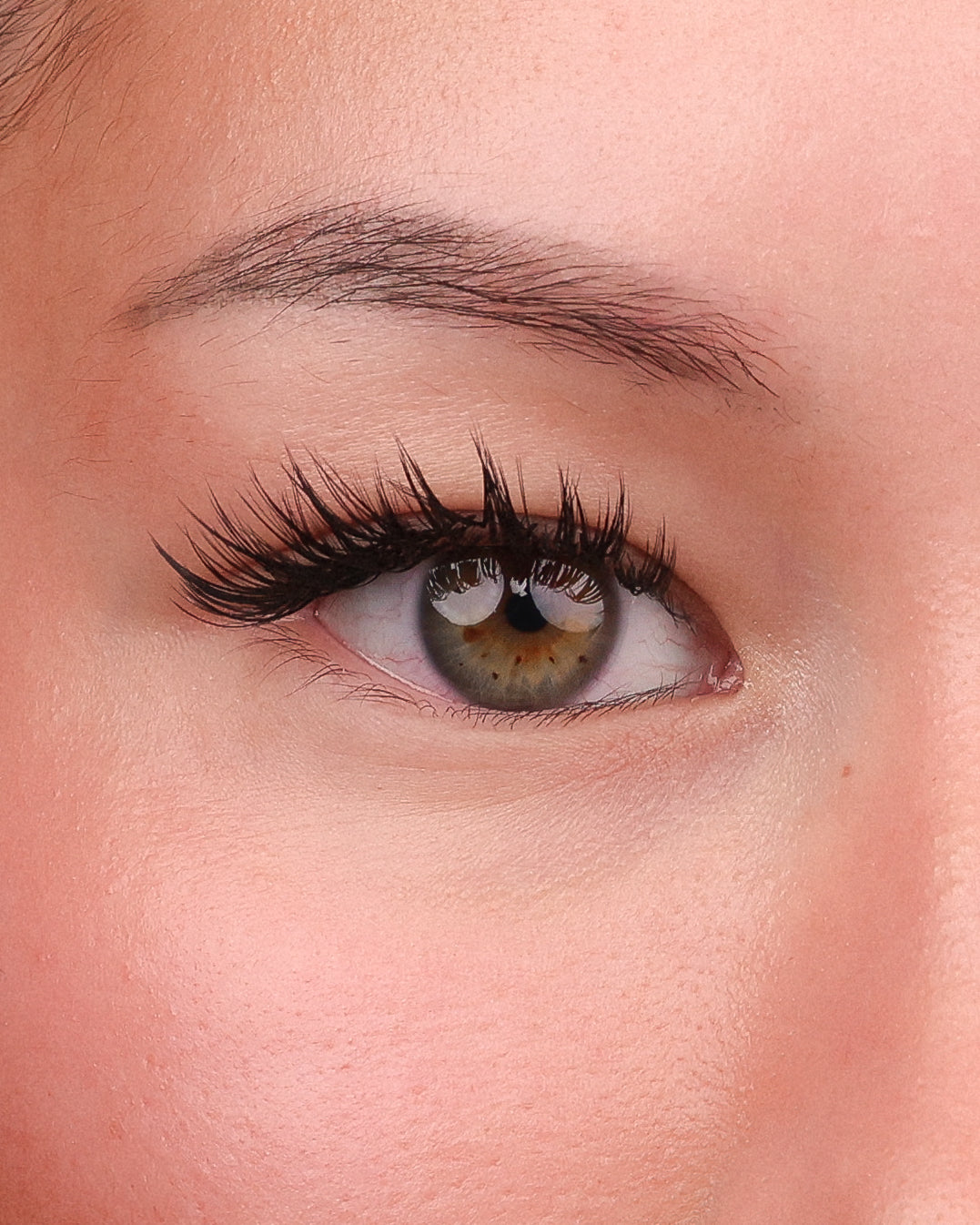 Winged Out Skyline Lashes