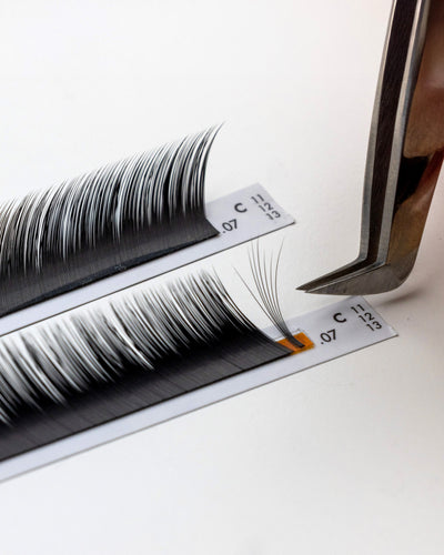 Winged Out Skyline Lashes